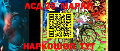 шишки Камышлов