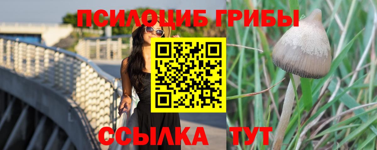 Псилоцибиновые грибы MAGIC MUSHROOMS  Вход с VPN  Галлюциногенные грибы Psilocybine cubensis  Глазов 